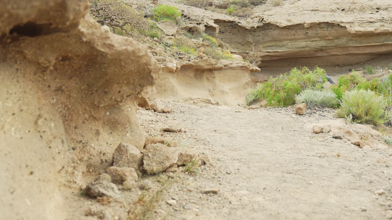 joven caucásico tropezando en una piedra mientras camina en la naturaleza española