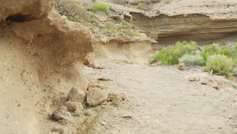 joven caucásico tropezando en una piedra mientras camina en la naturaleza española