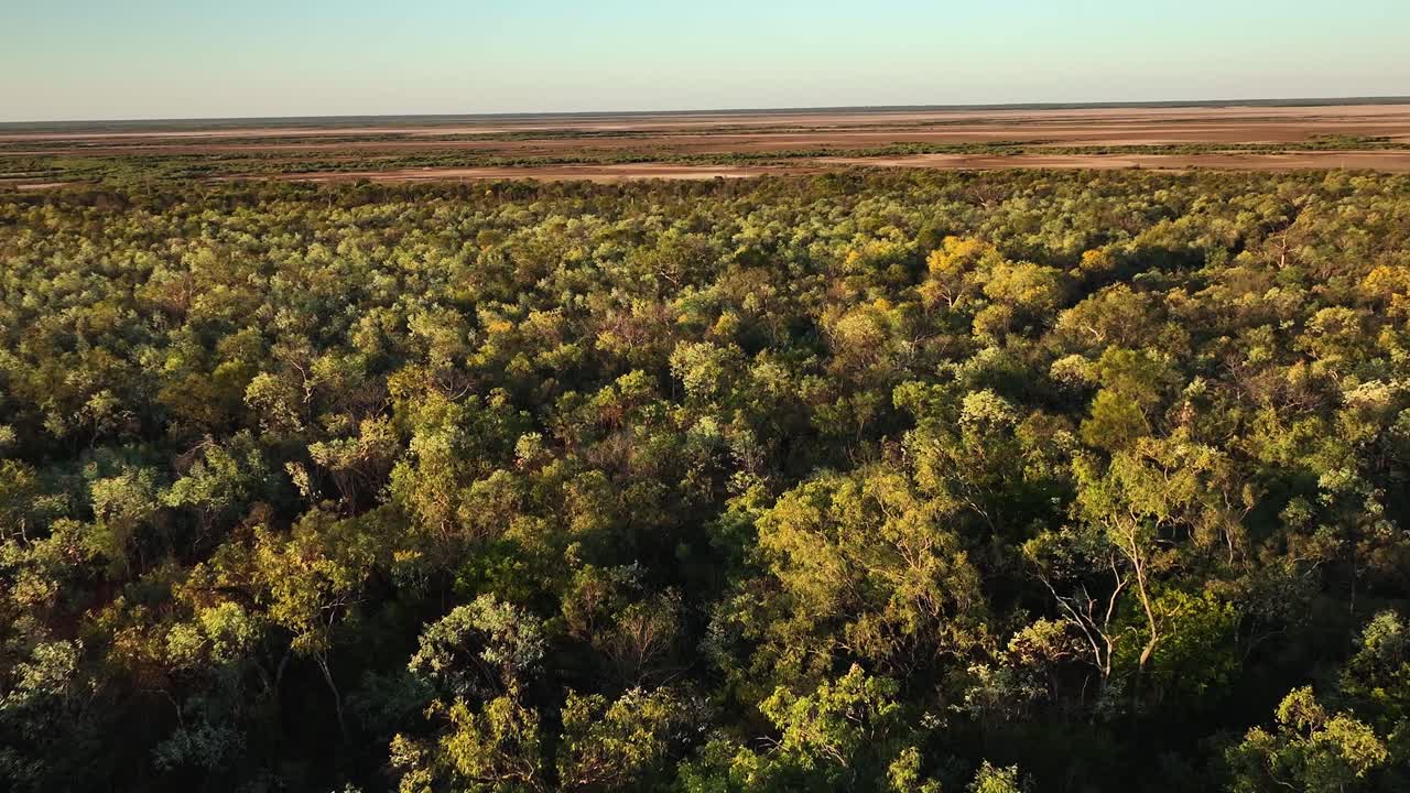 Foresta e mangrovie dell'Australia nord-occidentale-2