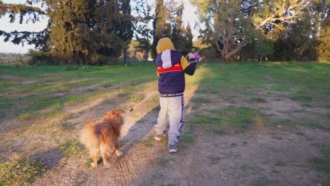 Vista-Posterior-De-Un-Niño-Caucásico-Dando-Un-Paseo-Con-Un-Perro-Mascota-Escondido-En-Los-Campos,-Usando-Una-Correa,-4k-30fps,-Siga-El-Plano-Medio