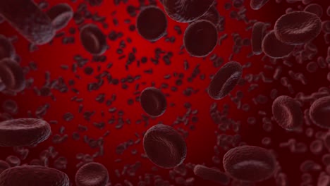cellule di infezione da virus rosso focolaio di influenza