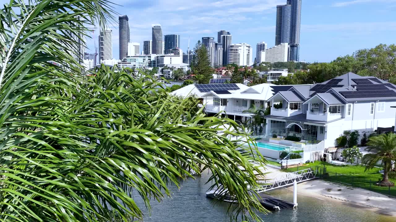 Cityscape with Palm Tree
