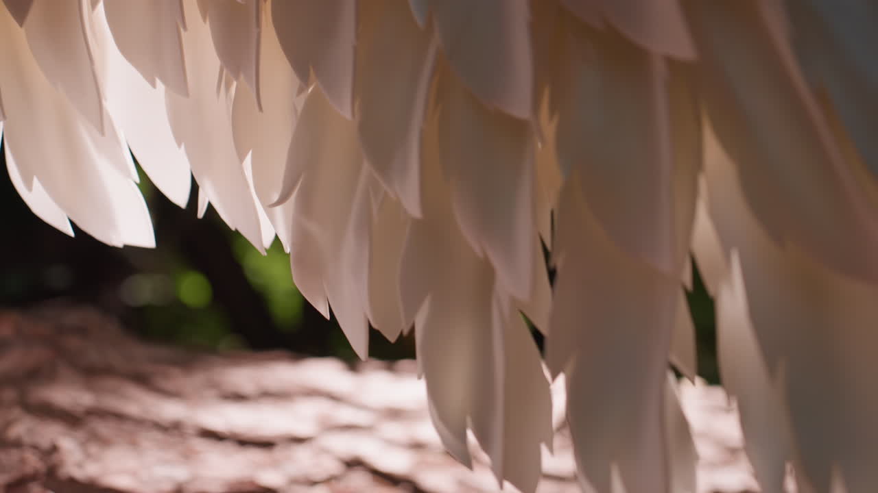 Close up fairy gods wing softly glowing as sunlight falls on wooden surface, highlighting delicate feather texture, warm tones, and magical radiance that evoke sense of divinity