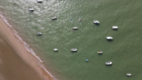 drone footage of the beach of bonanza, at the mouth of the guadalquivir river. there are small fishing boats on the shore and some sport canoes, in the background you can see the doñana natural park.