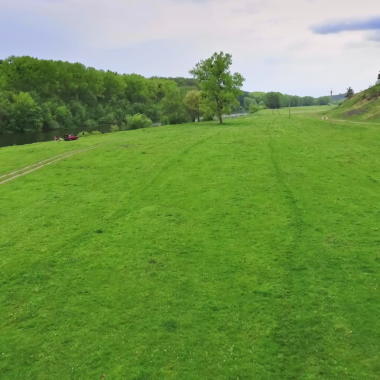 Sorvolando il verde prato e avvicinandosi alla mandria di bovini. Diverse mucche al pascolo. Vista dall'alto