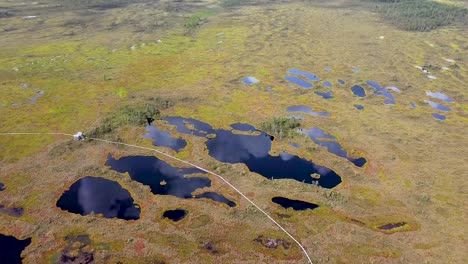 lagos de pantano épicos en nigula bog en el sur de estonia