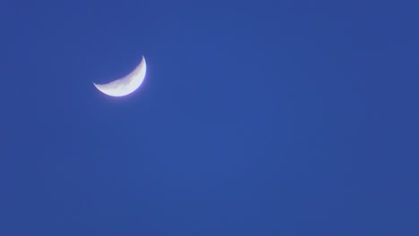 Video-Hd-De-La-Luna-Contra-El-Cielo-De-La-Tarde-A-Una-Velocidad-De-40x