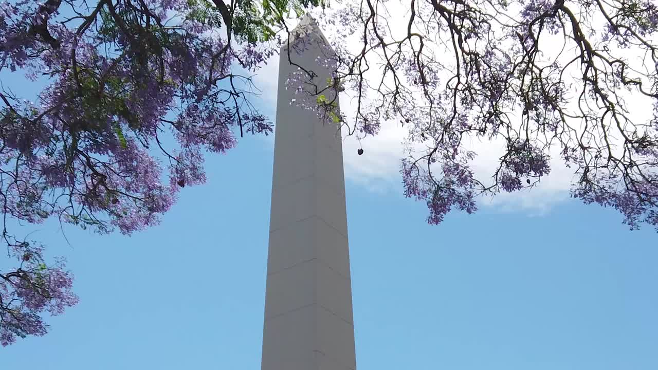 Obelisk of Buenos Aires City Argentina over skyline and Jacaranda violet flowers