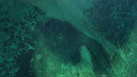 Beautiful-abstract-sea-texture-with-green-patterns-of-coral-reefs-and-white-sand-of-sea-bottom-illuminated-by-the-morning-sunlight,-Seychelles