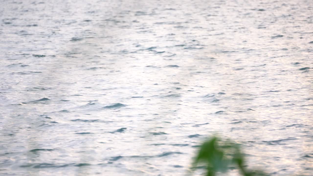 물 물결 파우나 호수 로나발라