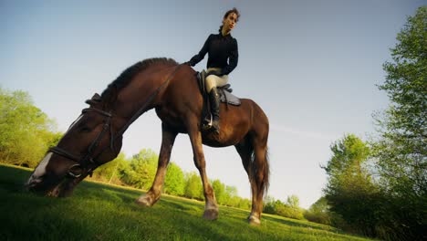 woman riding a horse in a field