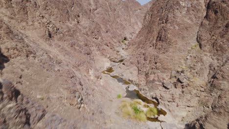 group of friends enjoy a day of swimming and relaxing at a natural freshwater pool in the middle of a dry arid wadi valley