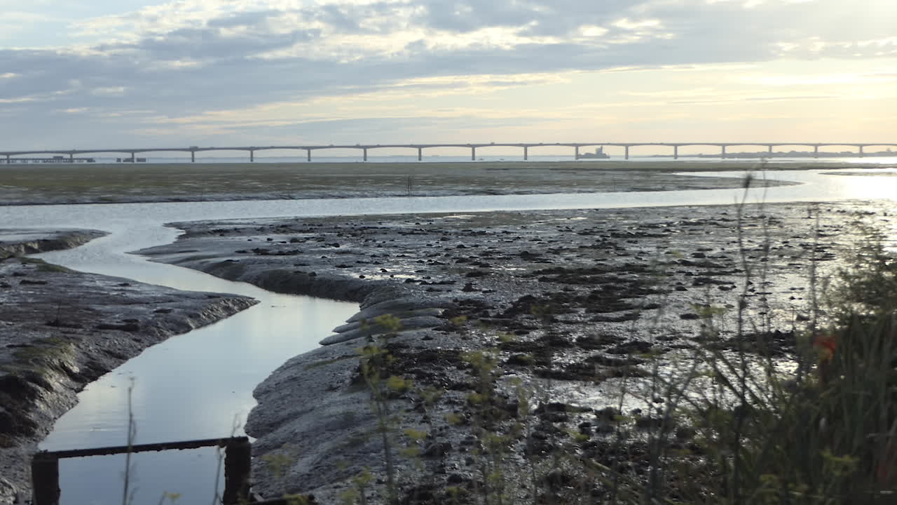 일출 시 비스케이만을 건너 돌레론 섬으로 가는 다리, 식물 춤, 배경의 루부아 요새, 프랑스 샤랑트