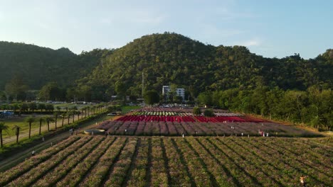 泰國帕克<unk> (pak chong) 的khao yai,