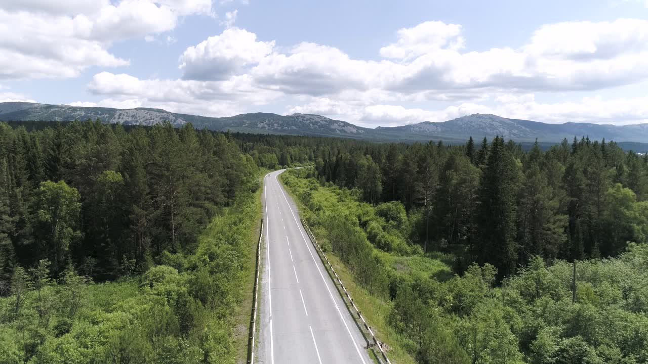 panorámico camino de montaña a través del bosque