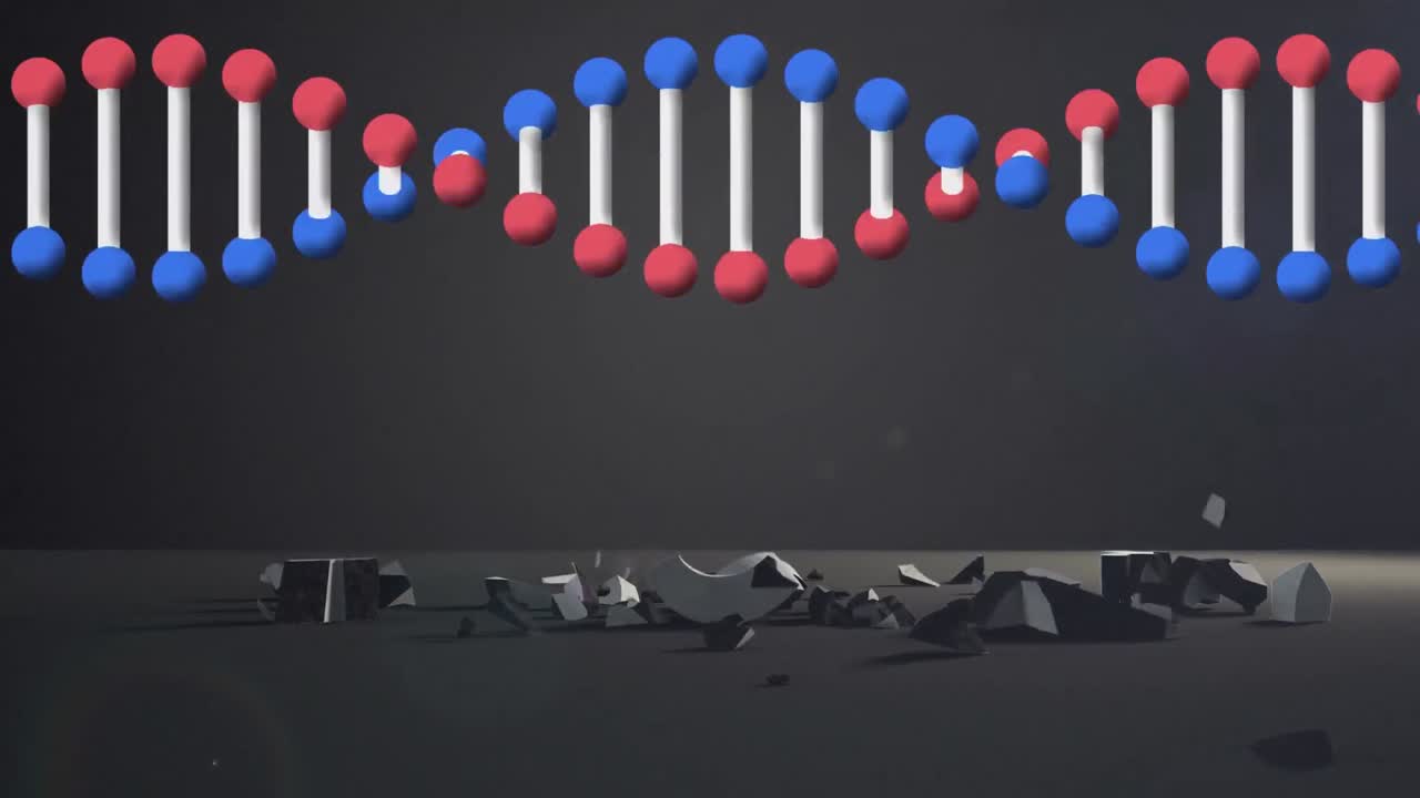달러 통화 기호가 회전하는 dna 구조가 회색 배경에 떨어지고 부서집니다.