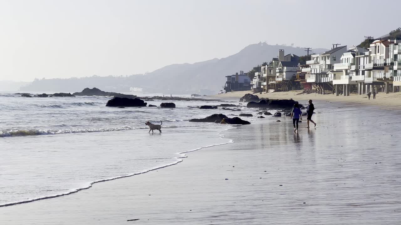 말리버스 해변에서 개와 노는 커플, 멋진 오후에 파도가 굴러간다