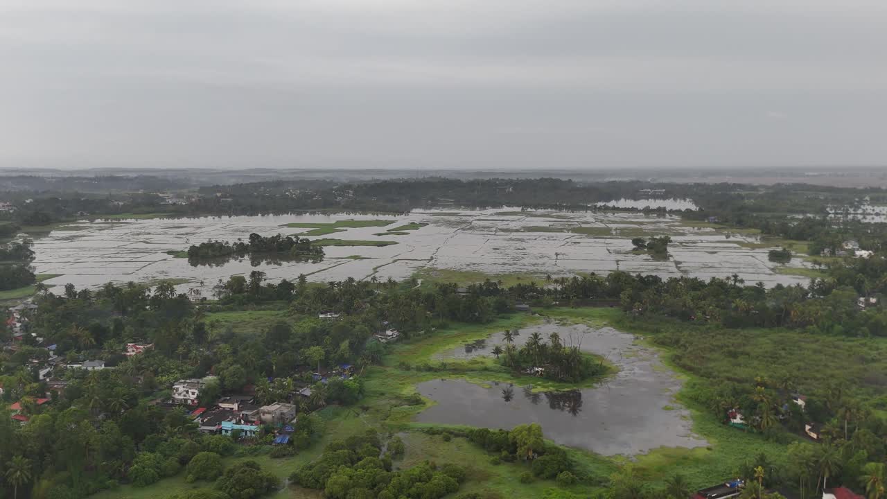 Wide shot focusing on the endless stretch of green canopy covering most of the visible area, with rooftops peeking through