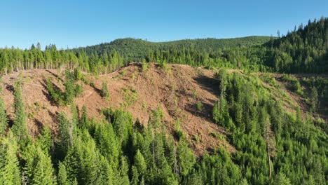 aerial shot of hills clear of trees in the usa from the lumber industry