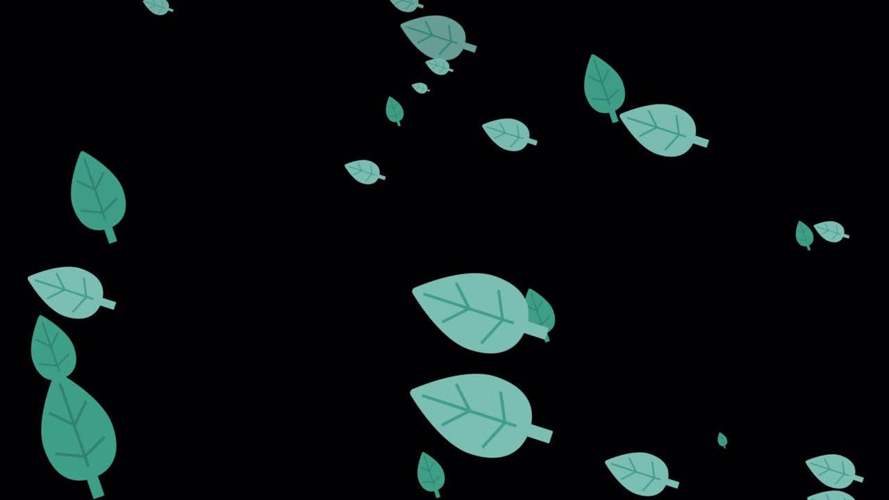 simple y linda partícula de hoja de fondo negro