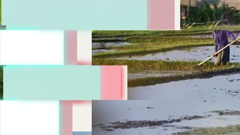 collage of sky and forest
