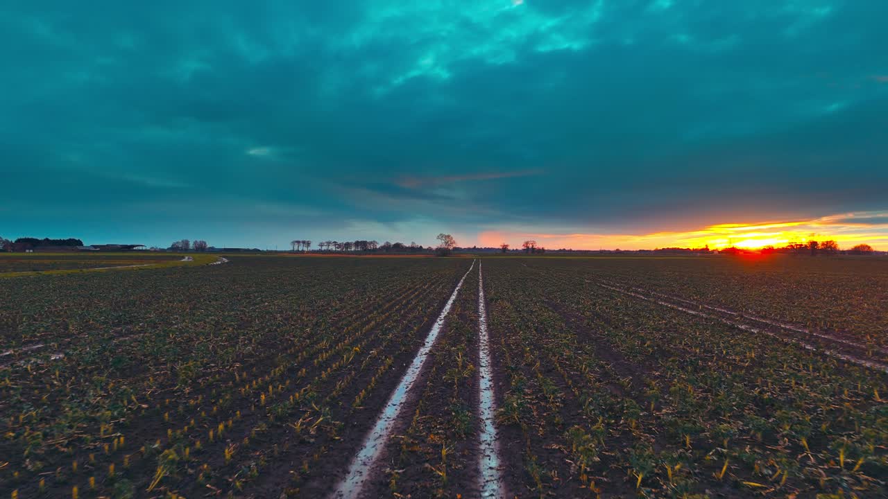 Scena rurale da sogno al tramonto con terreni agricoli, sentieri, albero malinconico e casa colonica, calda serata rosa e arancione. Pioggia con sentieri fangosi, pista, campagna invernale selvaggia, panorama inglese, stile di vita rustico