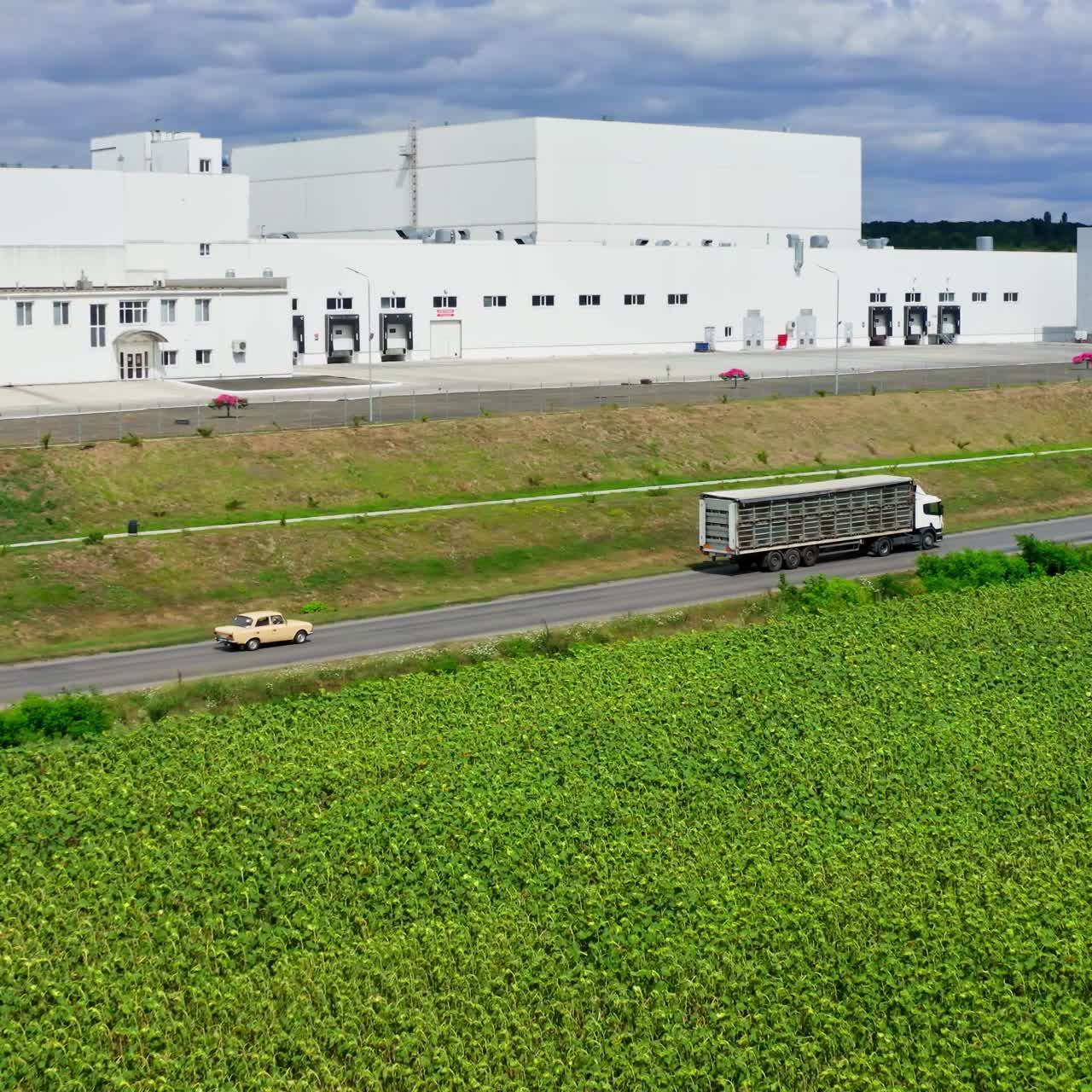 Aerial view over industrial factory. Modern factory exterior. Industrial area with factory
