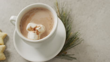 video of cup of hot chocolate with marshmallows and biscuits over grey background