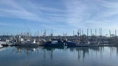 fishing boats moored at the port in newport city, oregon, usa