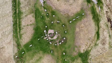 Rotating,-birds-eye-view-drone-shot-of-the-Callanish-Standing-Stones