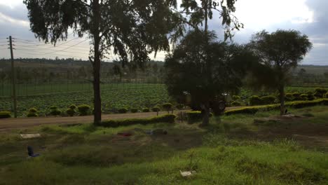 tractor con pesticidas habla conduciendo en una granja de kenya