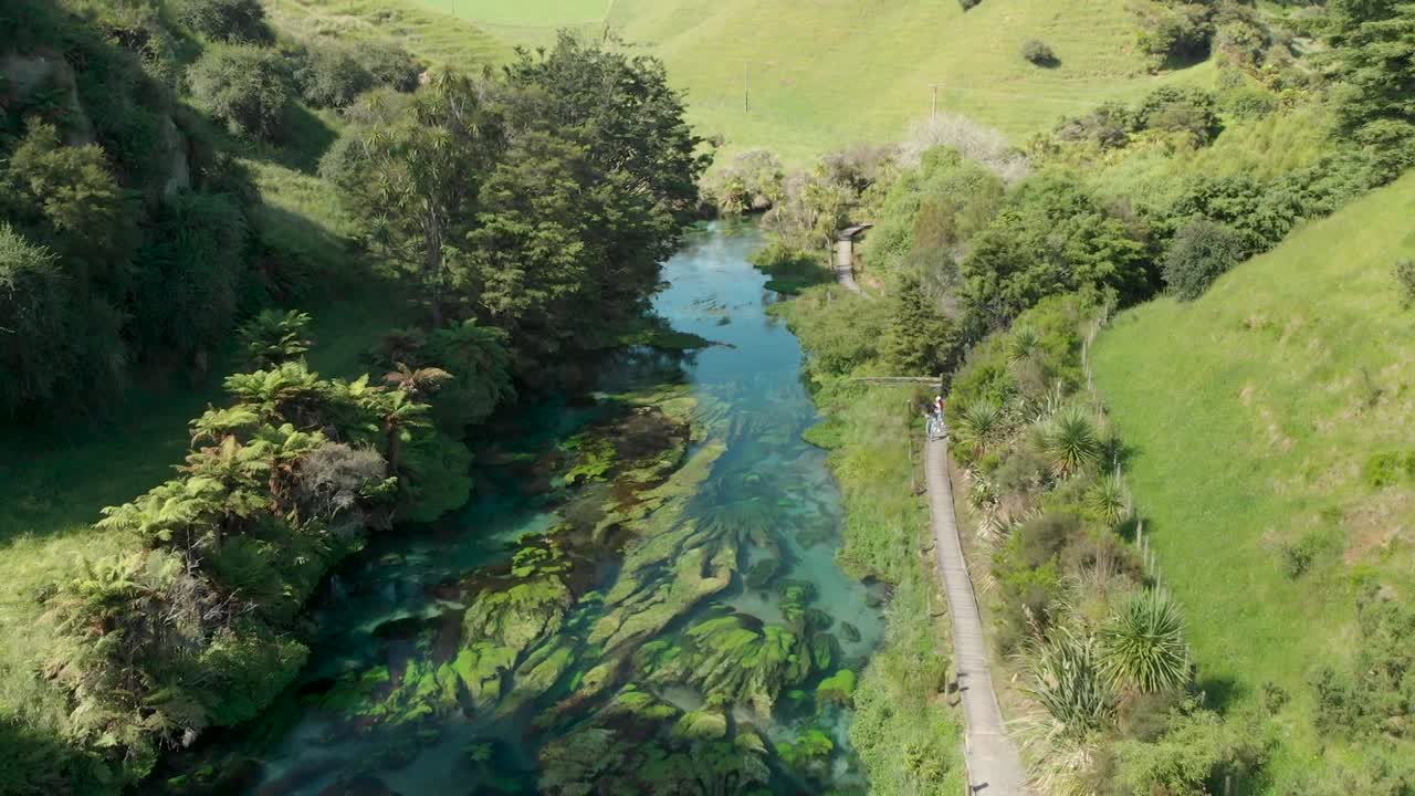 vista aérea de la pasarela te waihou en putaruru blue spring, nueva zelanda