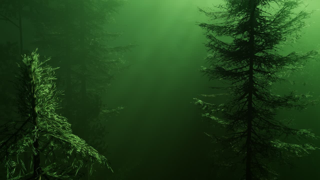 Magical Forest with Sparkles