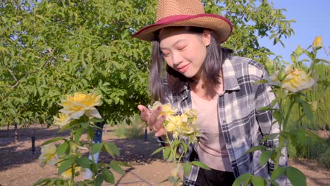 cheerful asian woman in lush garden with roses in countryside