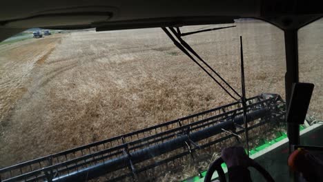 wheat harvesting with a combine harvester at day light