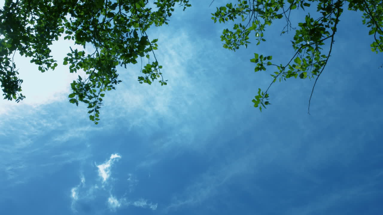 높은 품질의 형식으로 파란 하늘