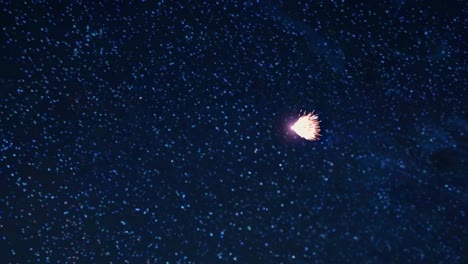 espectáculo de fuegos artificiales coloridos por la noche