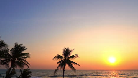 Picturesque-Tropical-Paradise-Scenery,-Ocean-Sunset-with-Palm-Trees