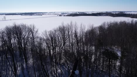 flying with bald eagles winter