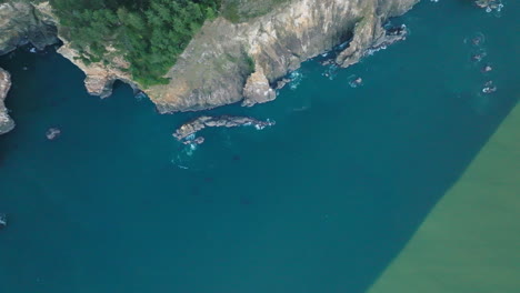 beautiful shadow from sea cliffs with evergreen trees as sunlight illuminates ocean water green on the oregon coast