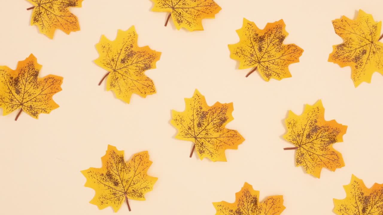 Yellow autumn leaves blinking on beige background. Stop motion