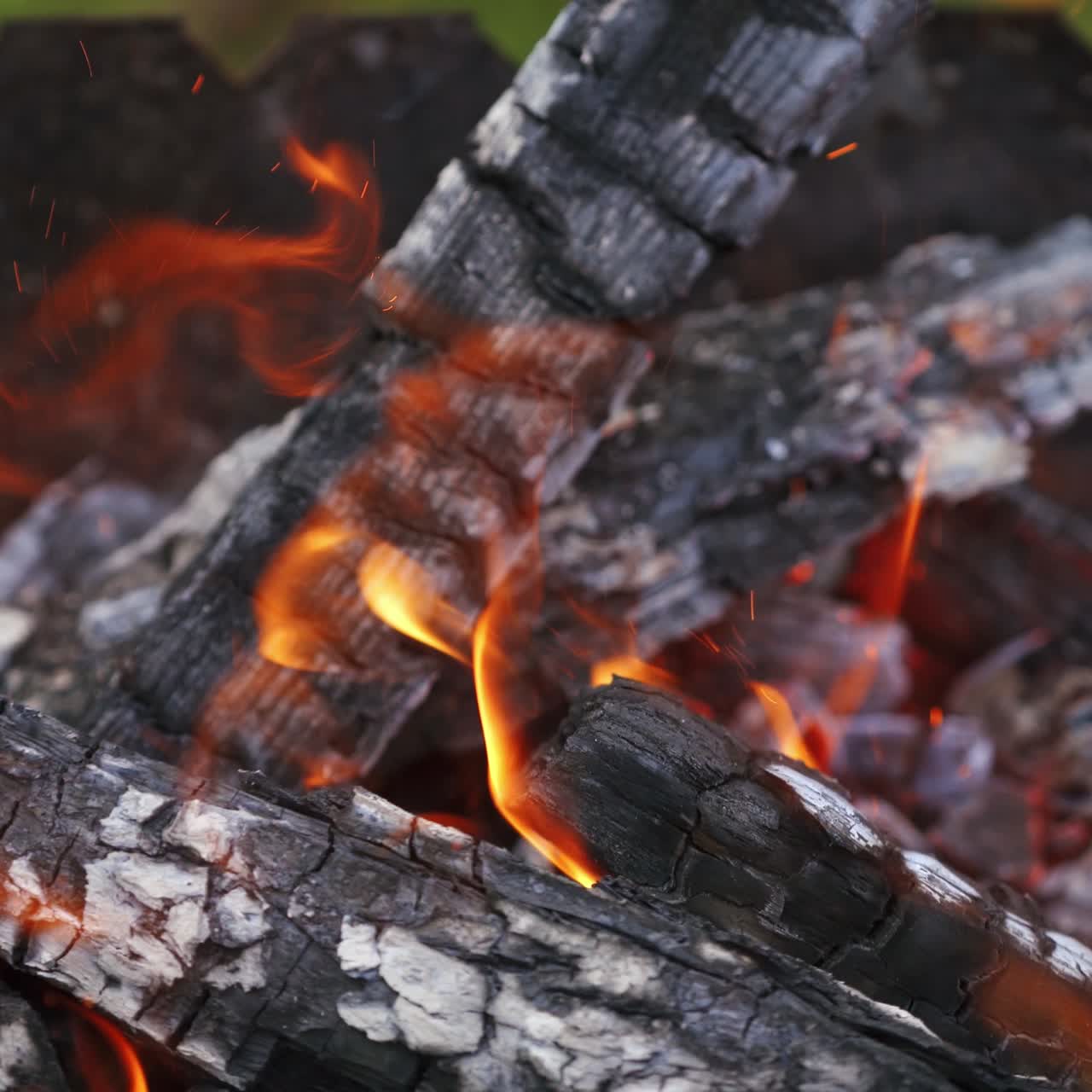 Campfire in nature, closeup