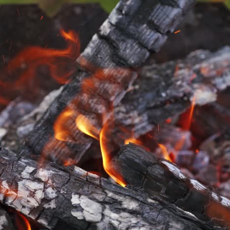 campfire in nature, closeup