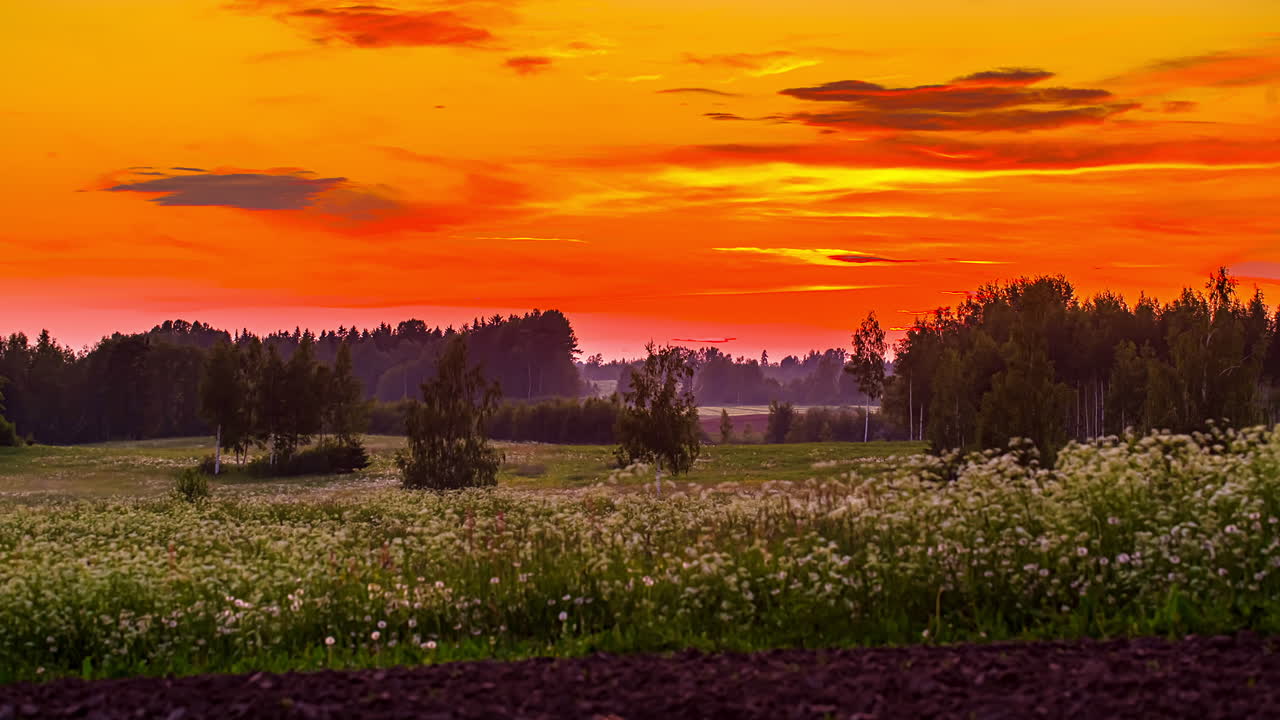시골의 꽃이 만발한 안개 밭 위에 극적인 오렌지색 황혼의 하늘