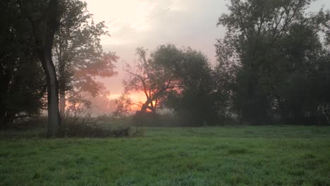 The-Beautiful-And-Peaceful-Countryside-Of-Zlotoryja,-Southwestern-Poland-With-Sun-Rising-Behind-The-Lush-Green-Trees---Wide-Shot