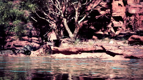 red rocks and water in the outback