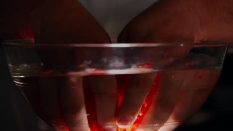 Immerse-red-poppies-in-bowl-of-water