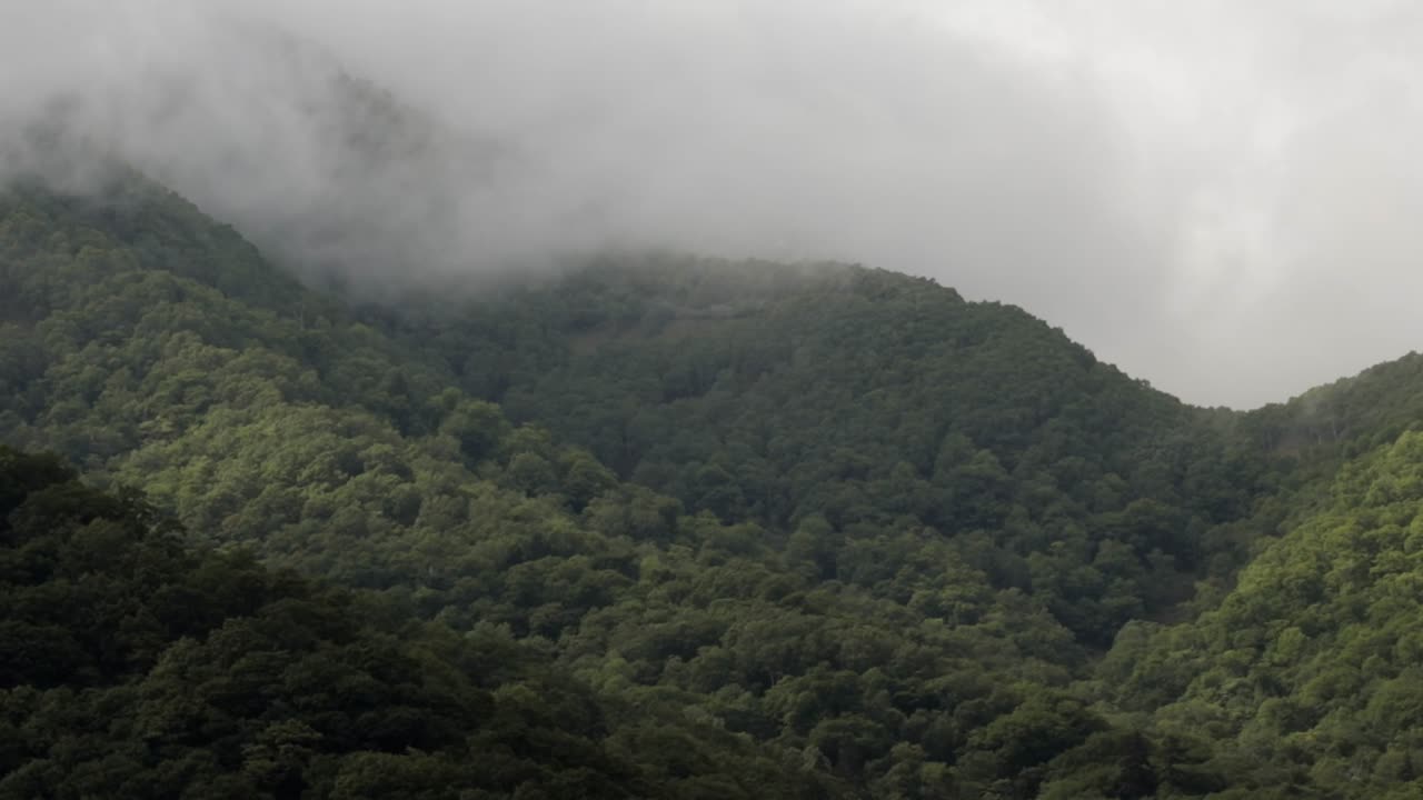 일본 홋카이도 빽빽한 산 식물을 통해 확산되는 무거운 구름의 손으로 찍은 사진