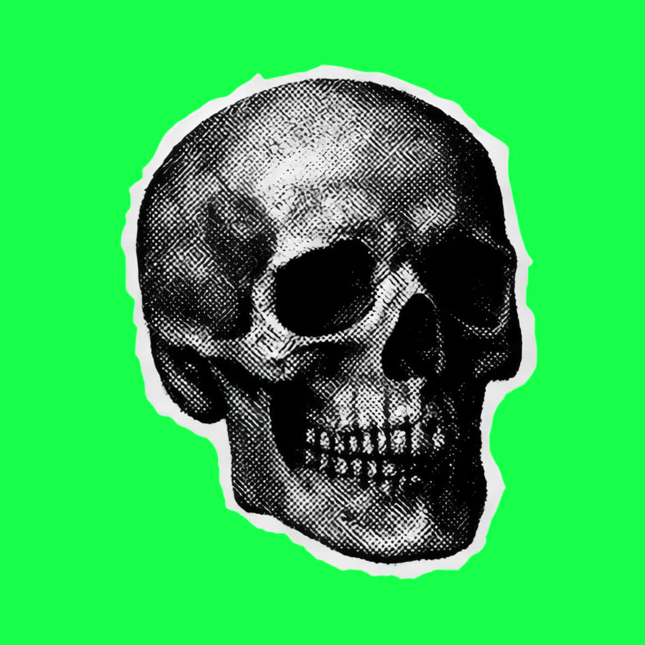 Vintage skull illustration animation, transparent 4K video, green screen
