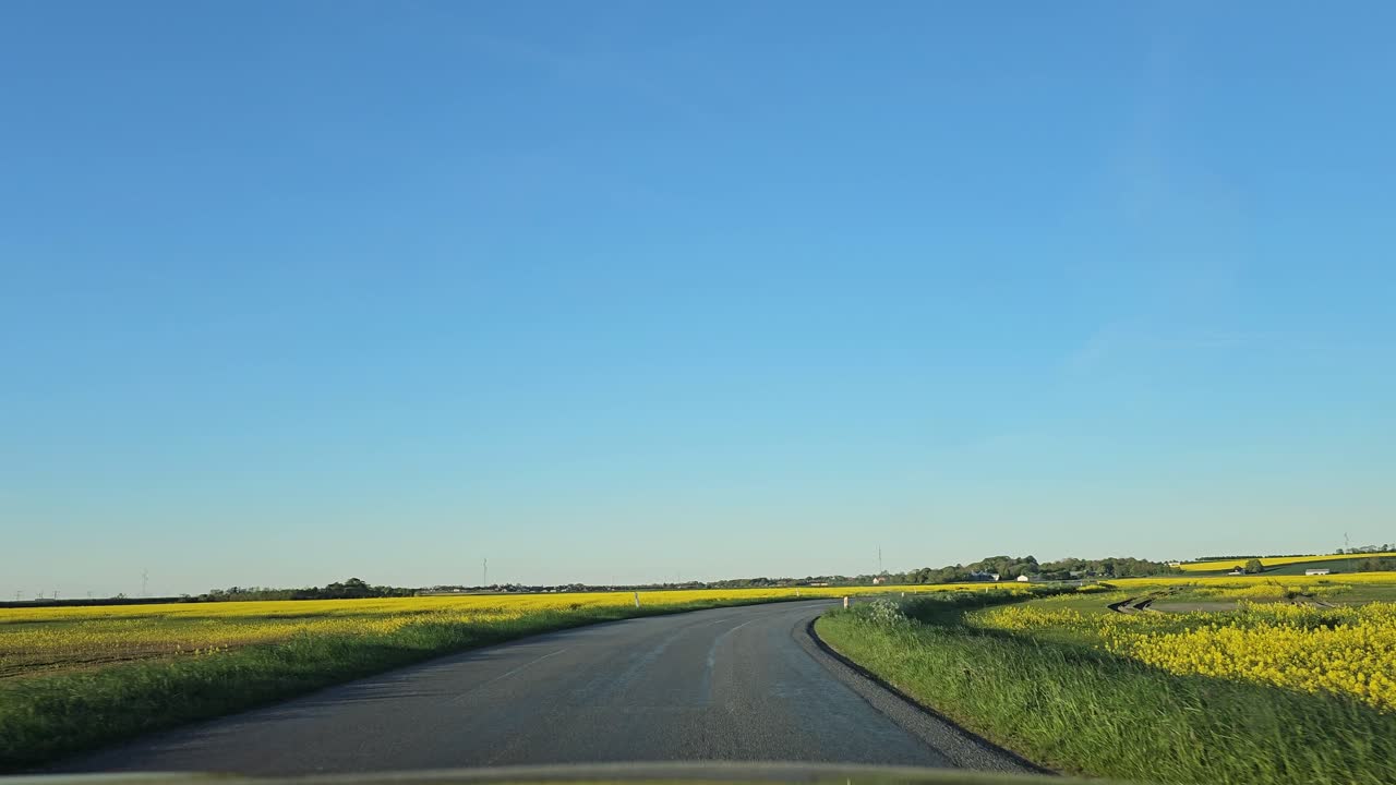 덴마크의 시골에서  씨  사이에서 을 운전합니다.